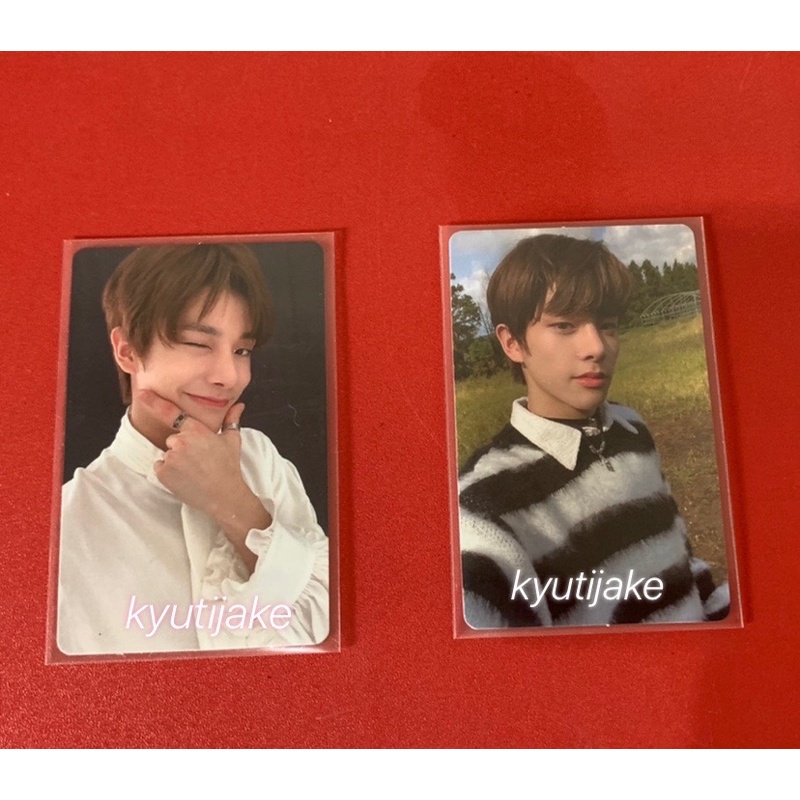 PC Jake Enhypen BDO Dawn Zebra Dusk Dagu