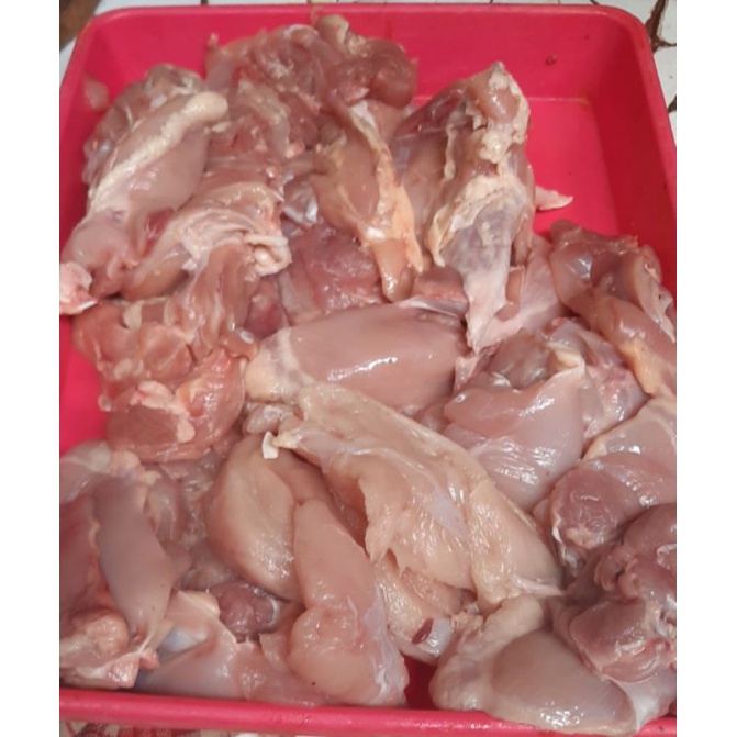 

daging ayam filet paha segar500grm