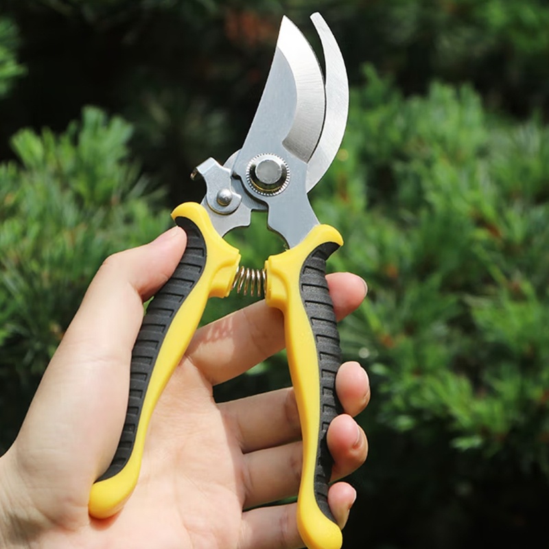 Gunting Pemangkas Tanaman Bonsai Bunga Untuk Taman Sharp Garden