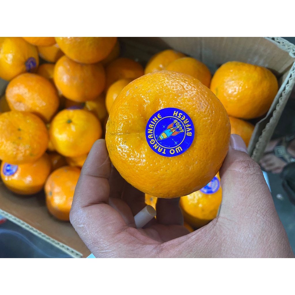 

JERUK WOKAM 500 GR | JERUK WOKAM BANDUNG | BUAH SEGAR | WARUNG CEU ENGKAY