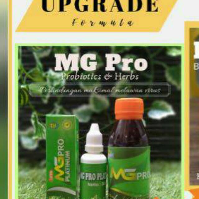 Mg pro platinum probiotik bio th