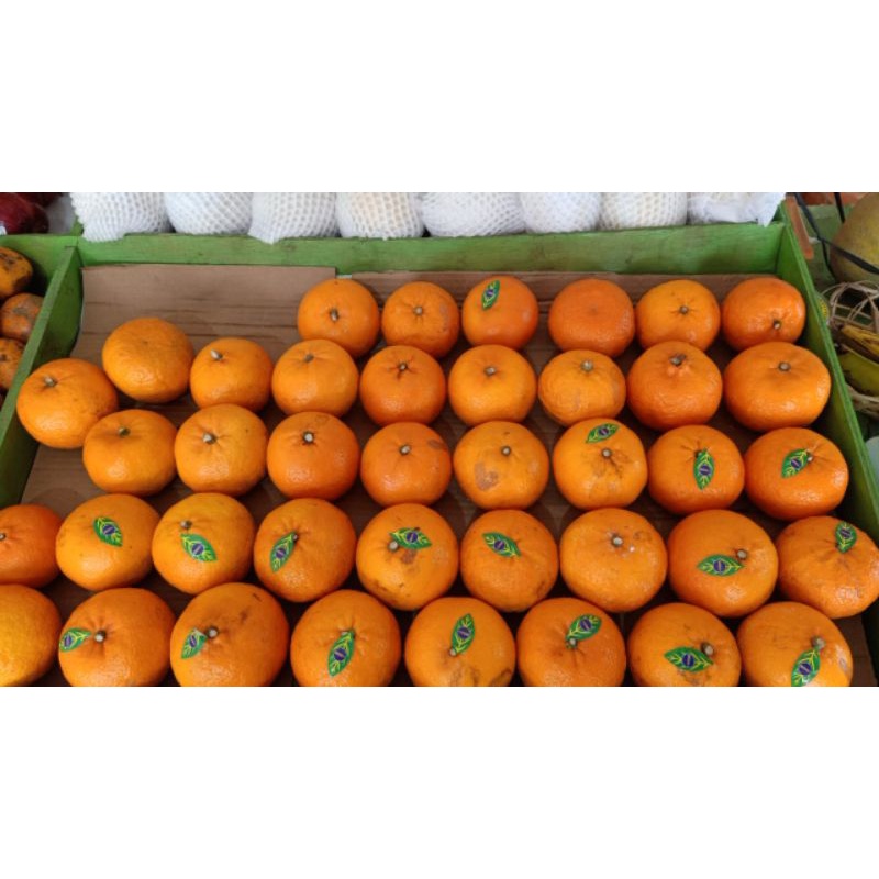 

( Per Kilo ) jeruk Wokam manis
