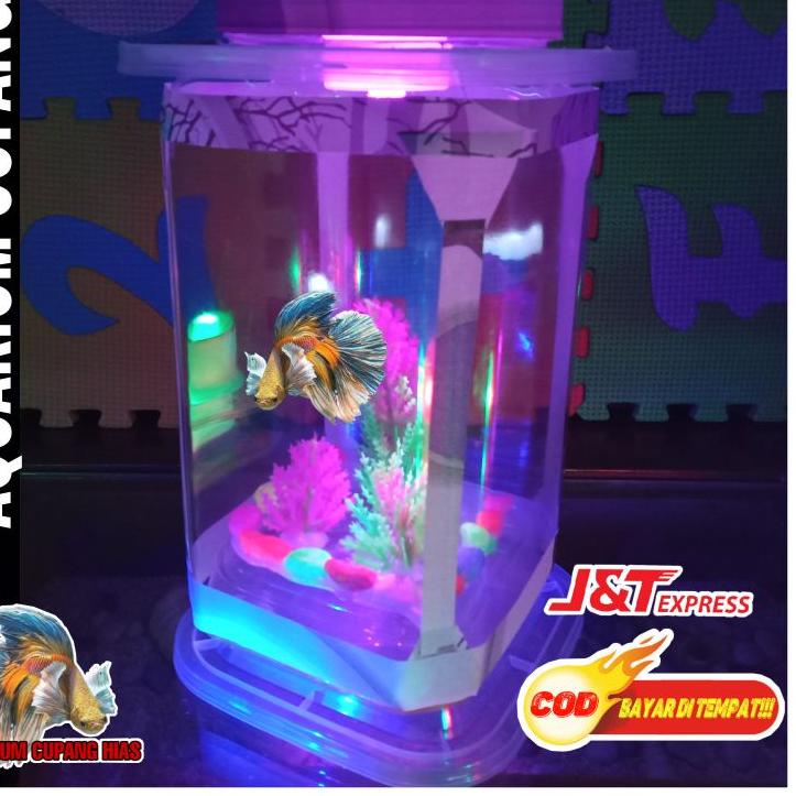 Terbaru.. Aquarium Ikan Cupang Hias Mini Bentuk Persegi Hiasan Kamar Tidur Lampu Warna Akuarium Cupa