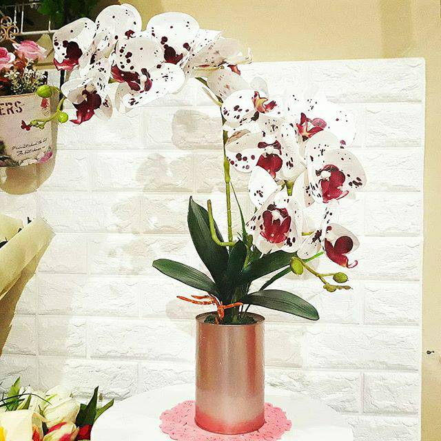  Bunga  Anggrek  Latex Dalmation Shopee  Indonesia