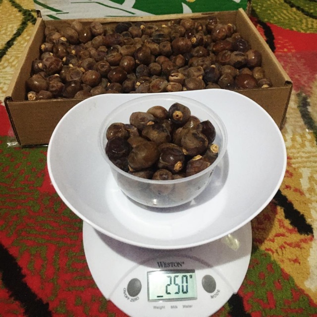 

Kurma sukari Al Qasim NR 250 gram