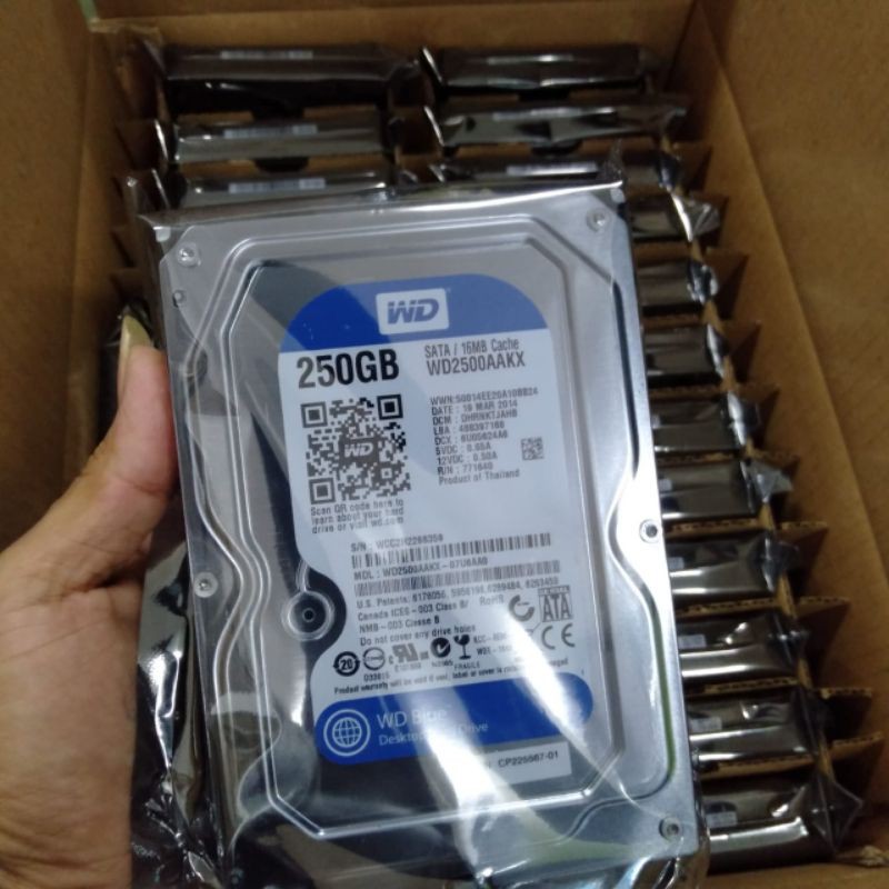 HARDISK 250GB BLUE PROMO HDD 250GB SATA 3,5&quot; ORI NEW FOR PC CPU COMPUTER