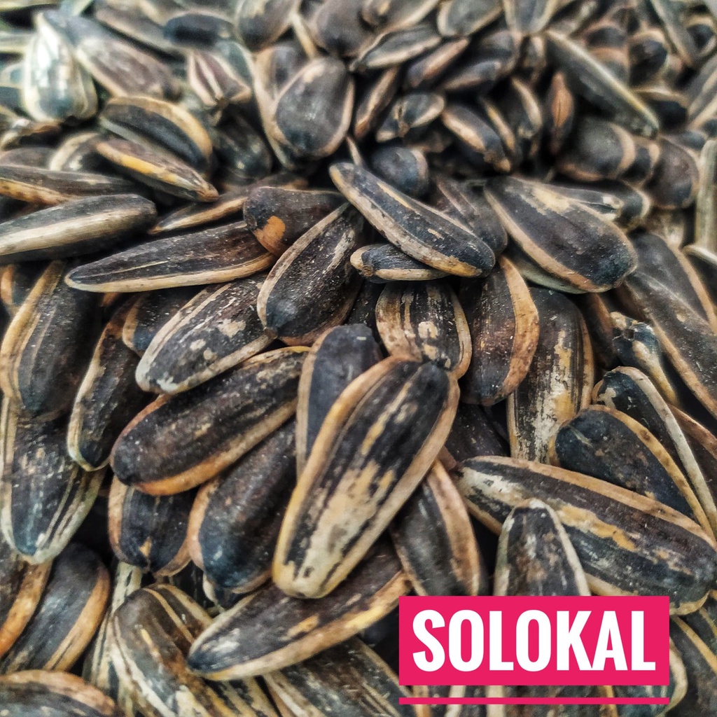 

250gram KUACI BUNGA MATAHARI Camilan Menyehatkan Rasa Gurih NAGIH