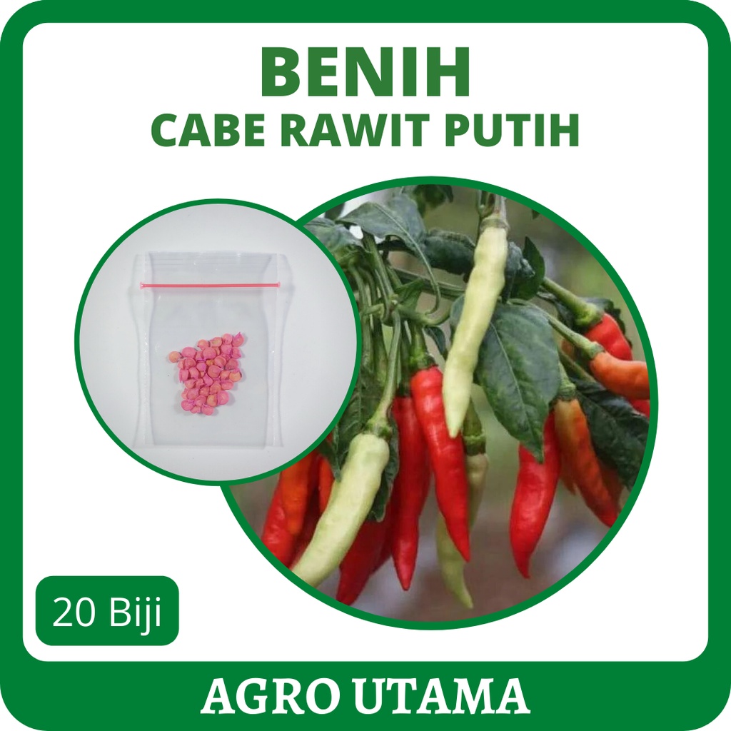 20 Benih Cabe Rawit Putih Unggul