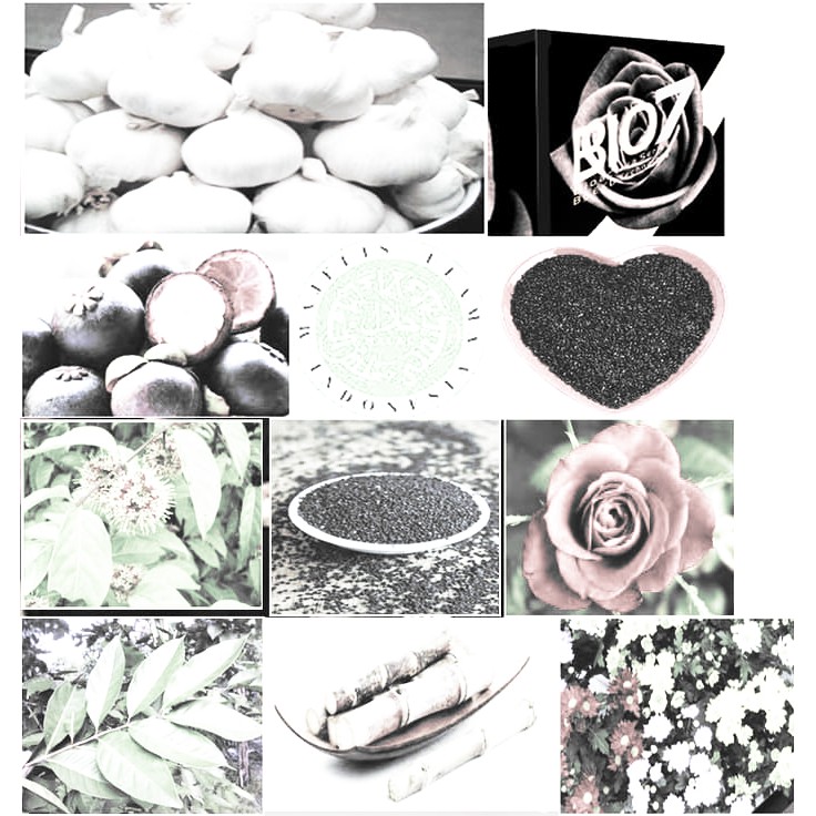 Promo  Herbal Bio7 Seven  Limited