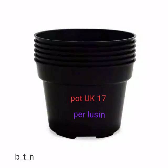  Pot  plastik  warna hitam diameter  17 cm  jual pot  plastik  