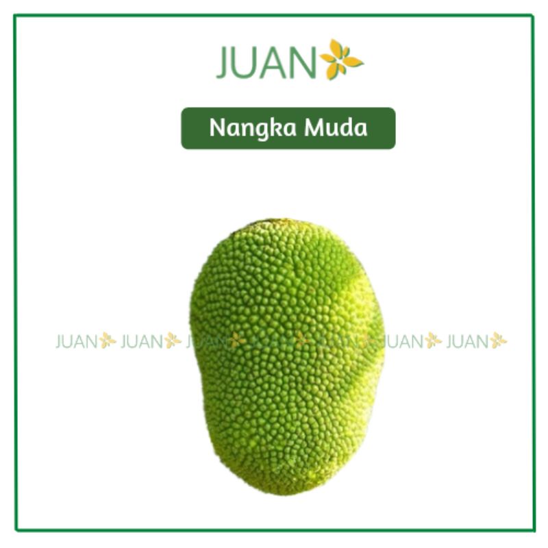 

Nangka Muda - Juan Freshmart