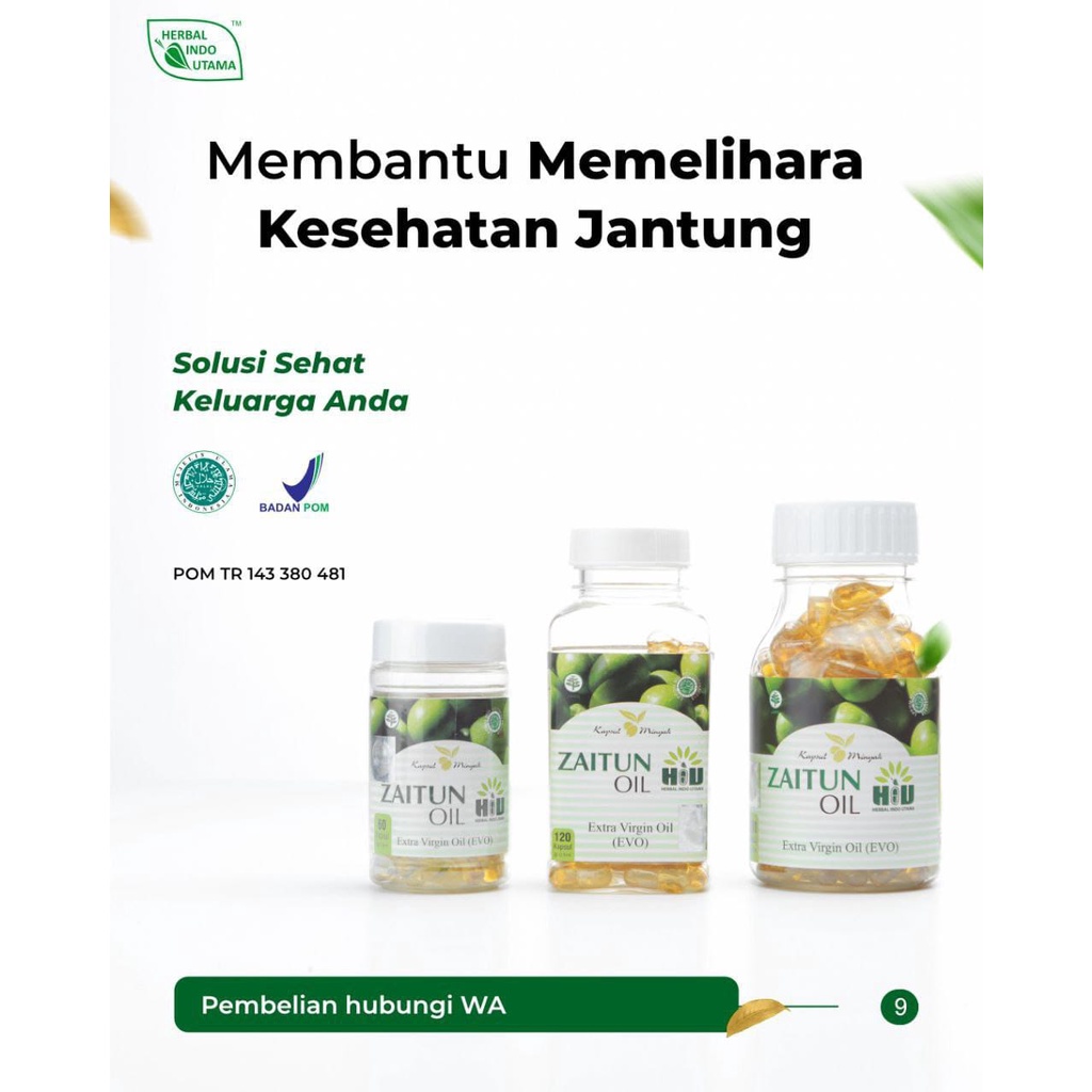 Minyak zaitun 50 kampul extra virgin oil