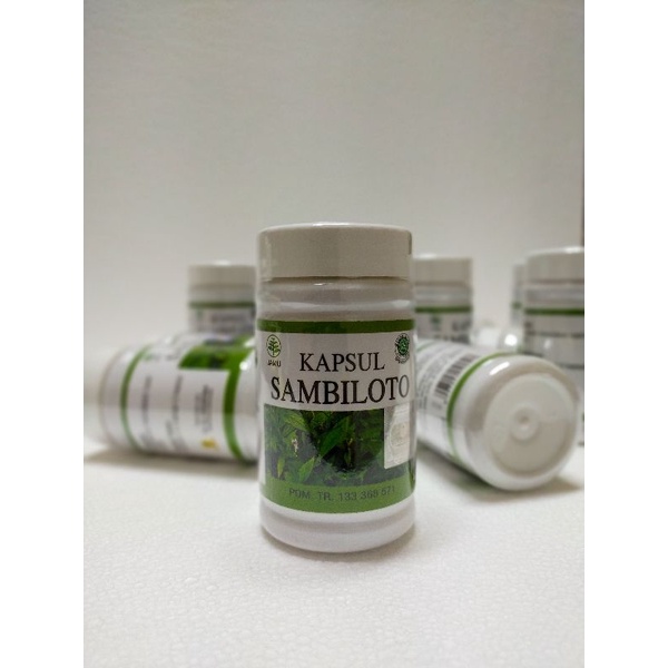 Sambiloto Kapsul Sambiloto Sambiloto kering Sambiloto bubuk Jamu Sambiloto Jamu Sambiloto kapsul Jam