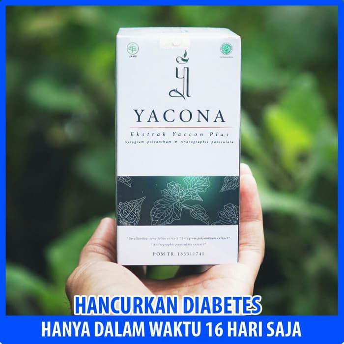 √ Obat Diabetes Paten | Yacona Herbal Kapsul Antidiabetik