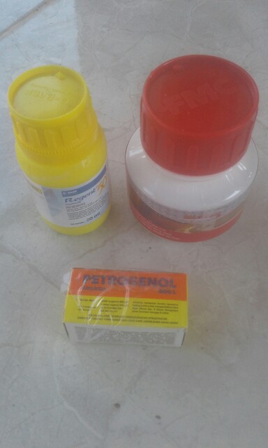 Regent Isi 50 Ml Anti Serangga