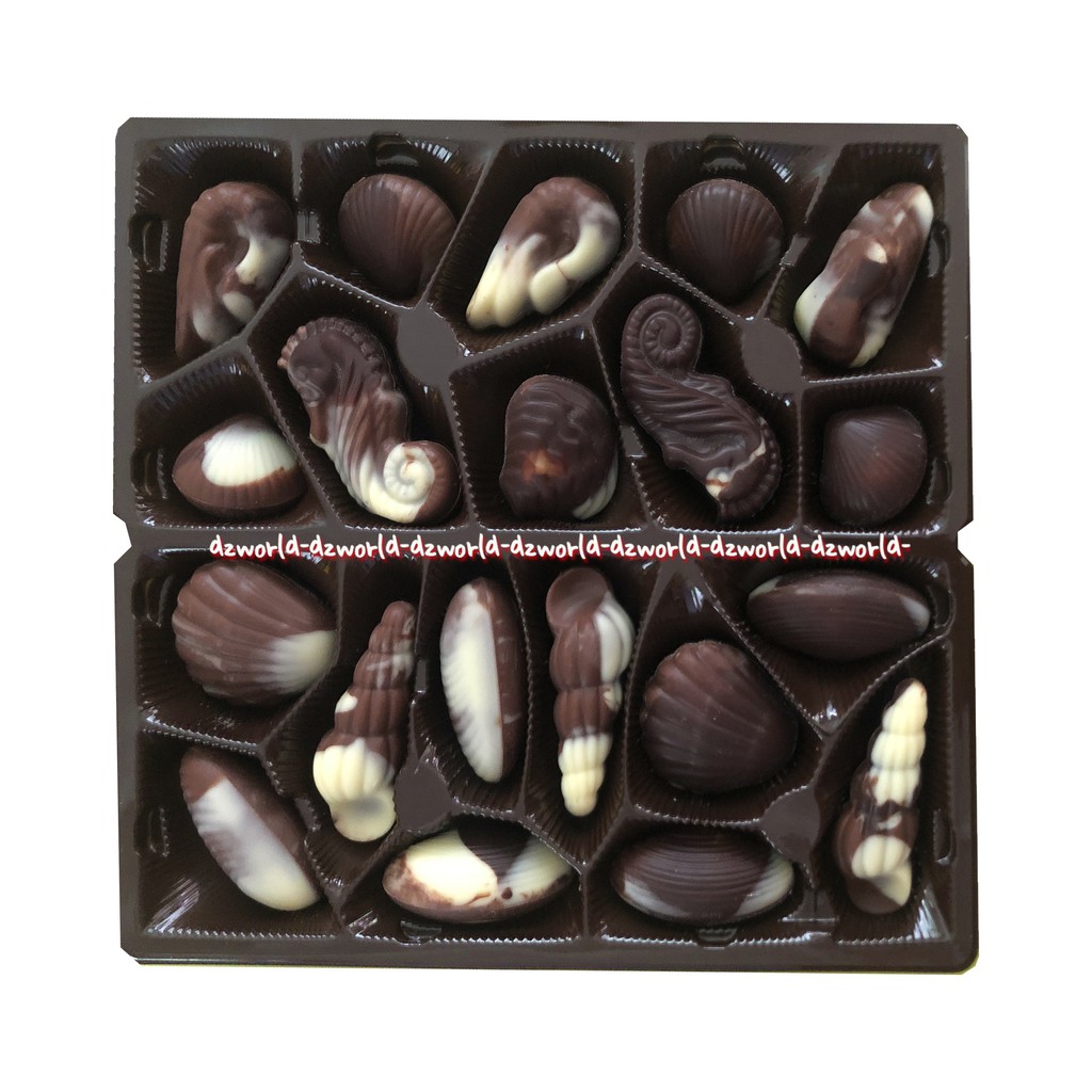 Varden Bulcke 20 Chocolate Seashells 250gr Cokelat Import