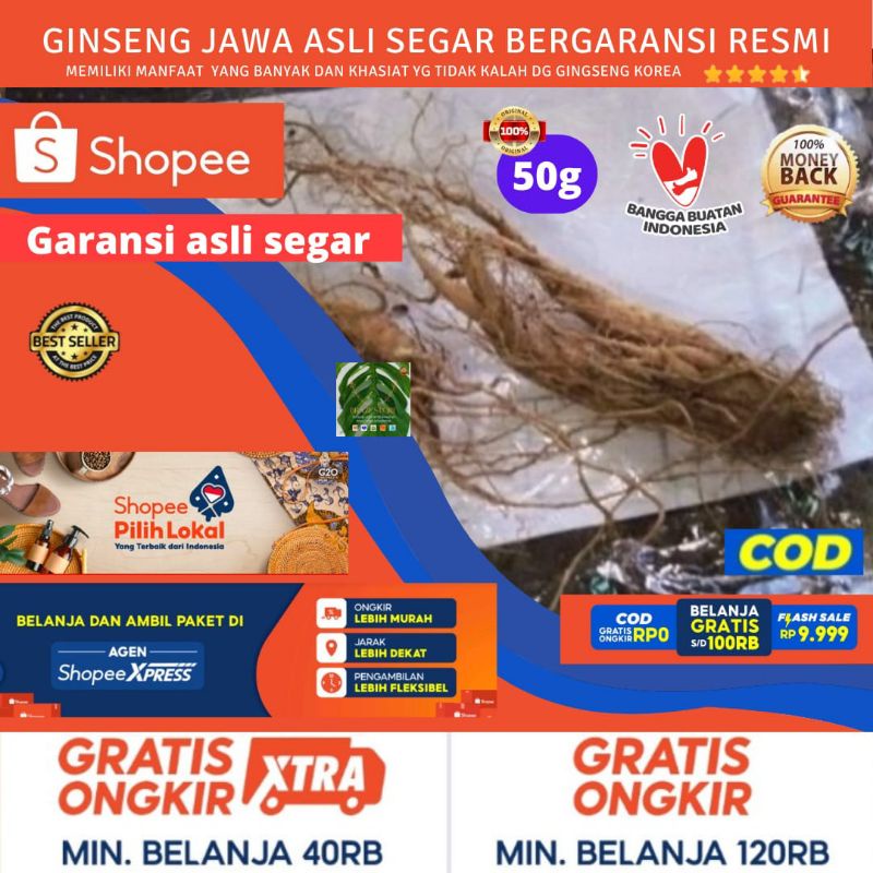GINGSENG / GINSENG JAWA KERING 50g tanaman obat herbal energi akar merah korea murah asli segar cod 