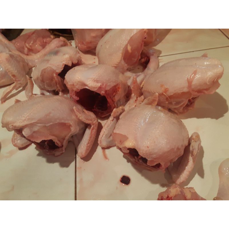 

Ayam Boiler Potong