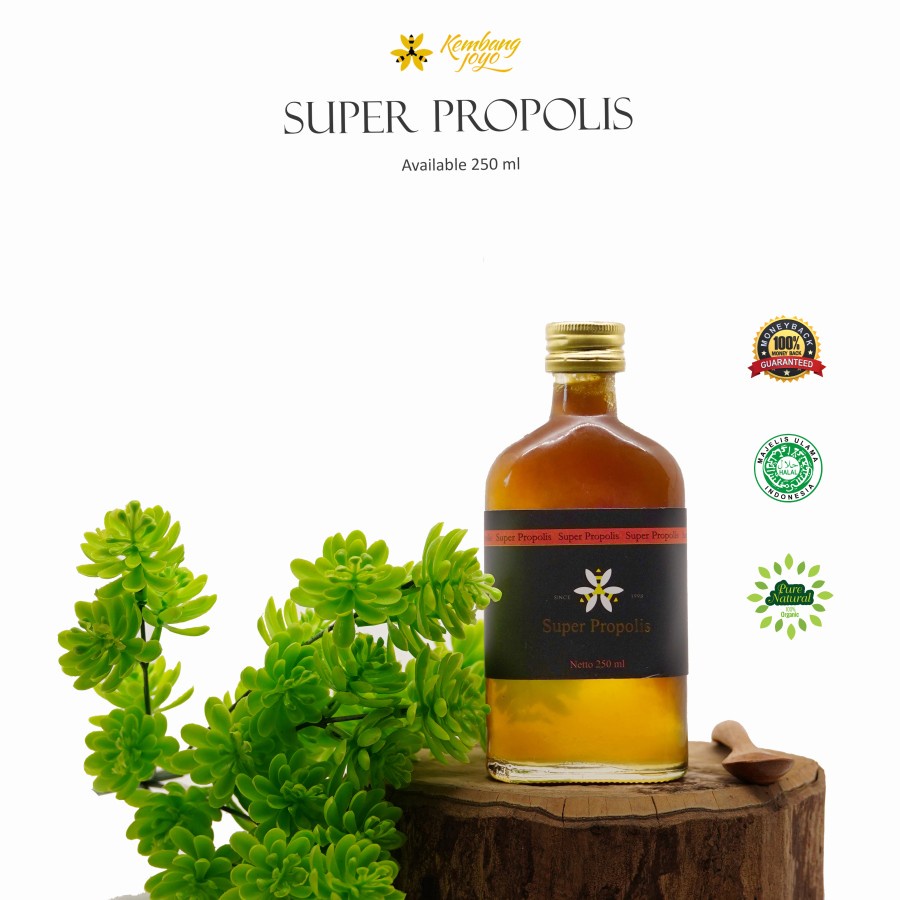 

Madu Super Propolis (Madu + Royal Jelly + Bee Pollen + Propolis) 350 gr