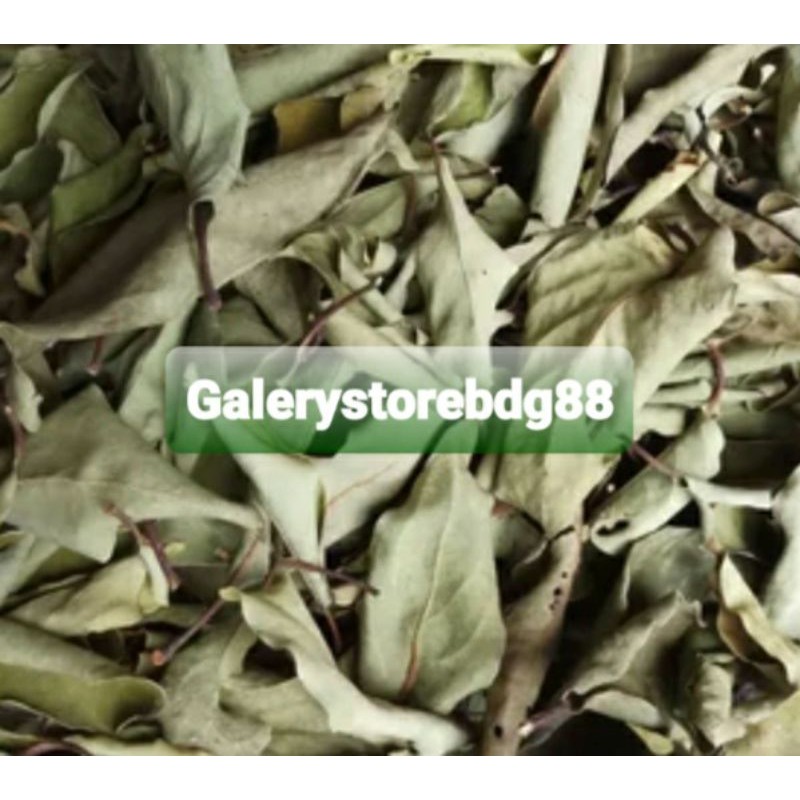 

Jual benalu kelor kering 300 gram natural-az