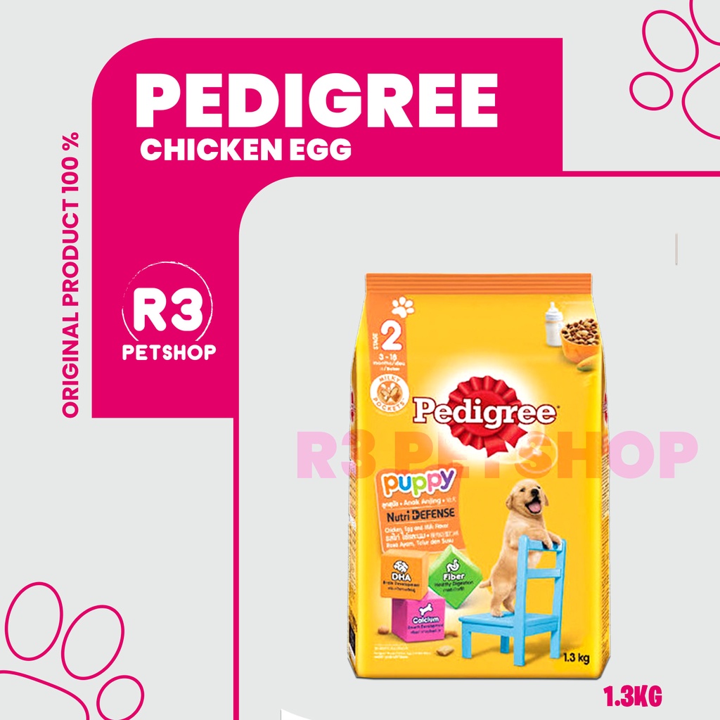 Makanan Anjing kering murah Pedigree Puppy 1,3 kg