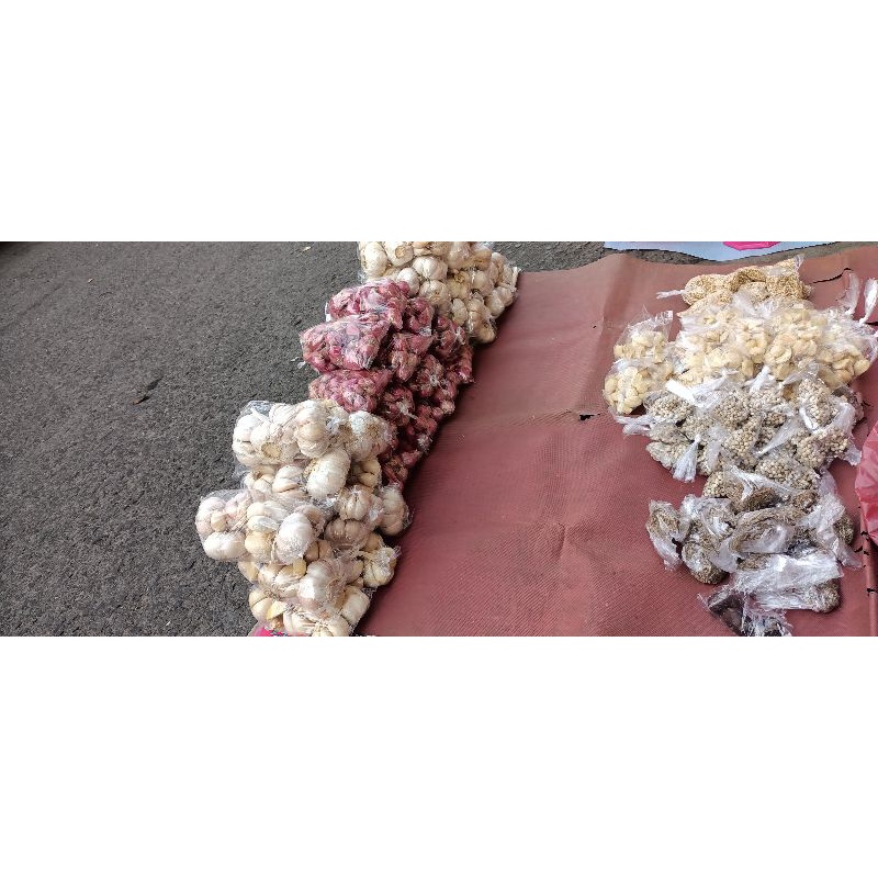 

bawang putih shinco