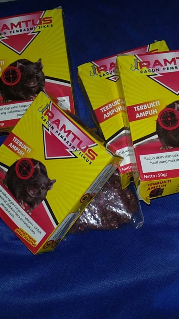 Racun Tikus Ramtus Asli Alami Mati Kering Tidak Bau Pembasmi Pengusir Tikus Super Paling Ampuh 6 Pak
