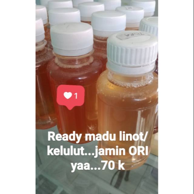 

Madu kelulut/madu linot aceh