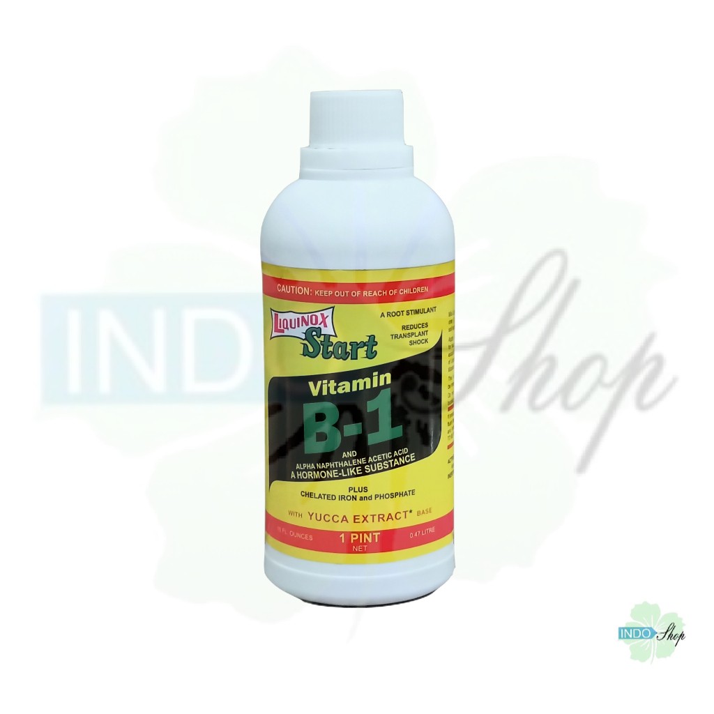 Vitamin B1 Liquinox Start 500ML (Besar) Segala Tanaman Aglonema Kaktus Pohon dll