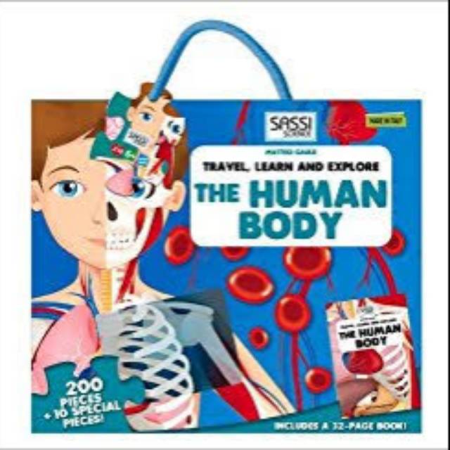 Sassi puzzle The human body
