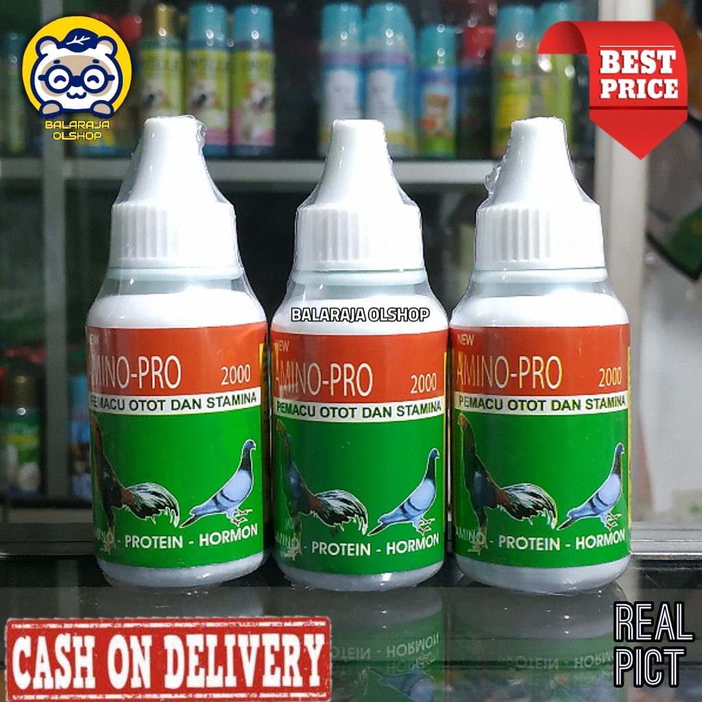 VITAMIN AYAM JAGO PENAMBAH NAFSU MAKAN OBAT BURUNG DARA MERPATI AMINO PRO 2000