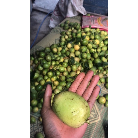 

jeruk lemon 250gram