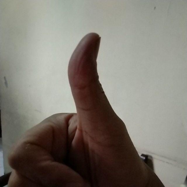 Sarung Bantal Katun Poly