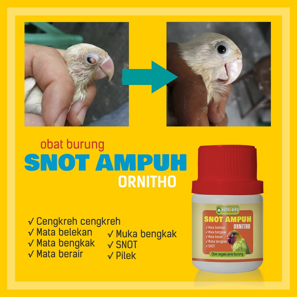 Obat burung SNOT AMPUH Ornitho