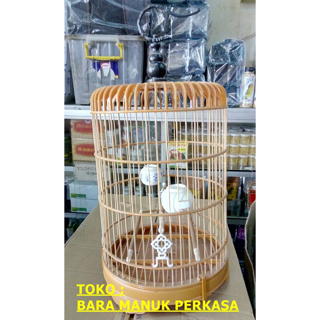 Kandang Sangkar Cungkok Burung Pleci Rangka Plastik Shopee Indonesia