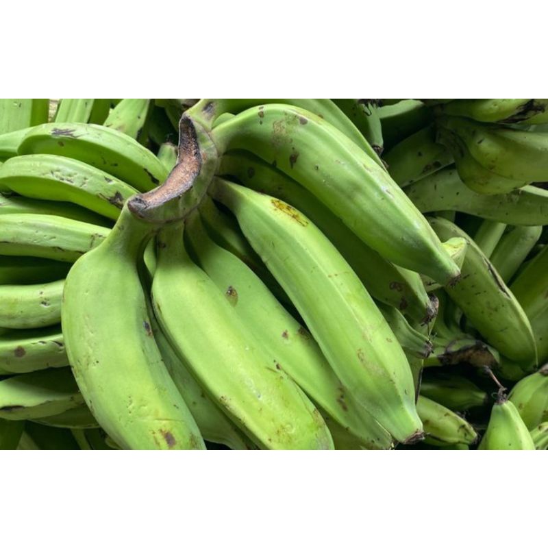 

pisang nangka 1kg