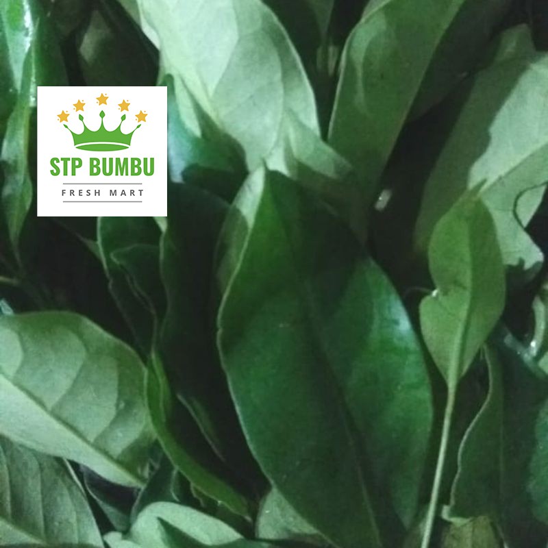 Daun Salam Segar Fresh 1 kg