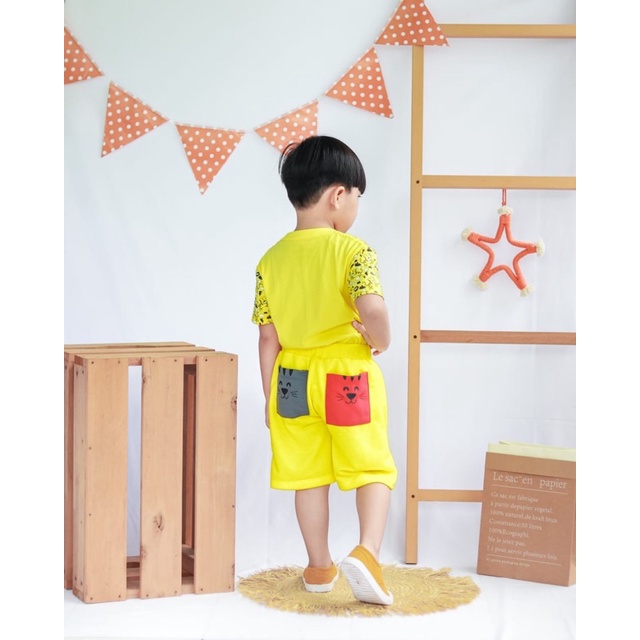 Setelan Anak Set Animal Pocket Cloudbee