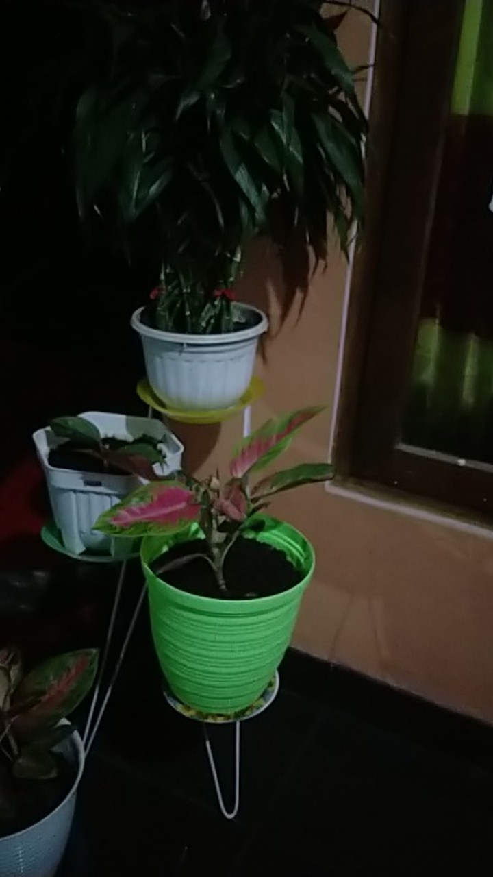 Standing Pot H  D18cm