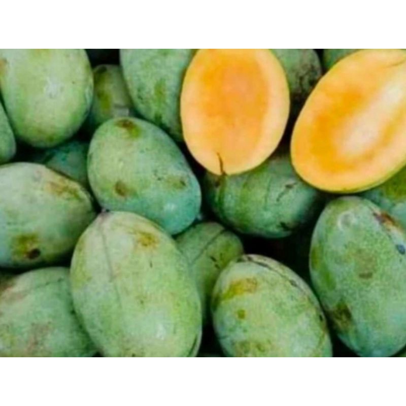 

MANGGA MANALAGI 1 KG