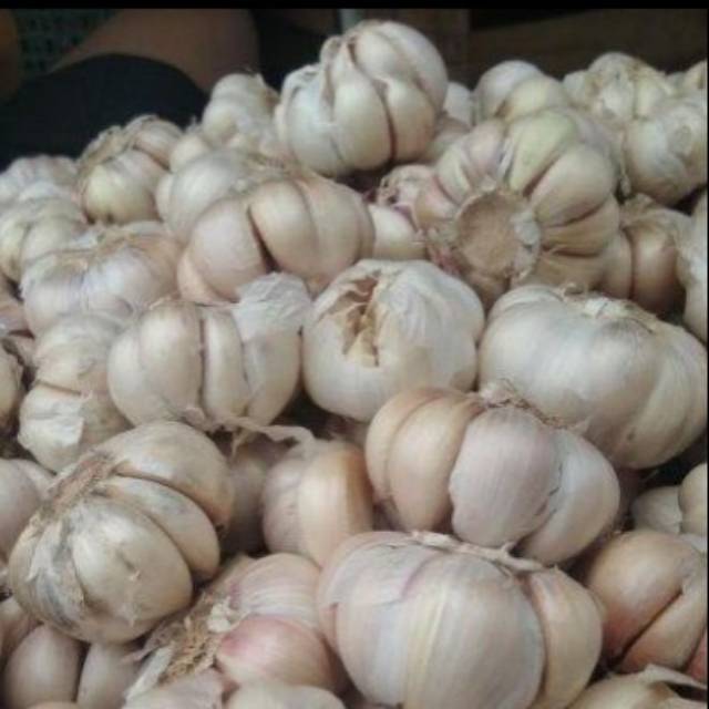

Bawang putih segar