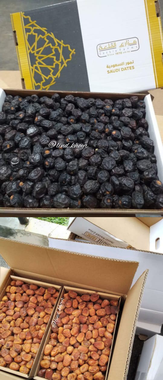 Bibit Anggur Jupiter Import. Bisa Untuk Tambulapot Harga Sanggat Terjangkau Bisa Cod