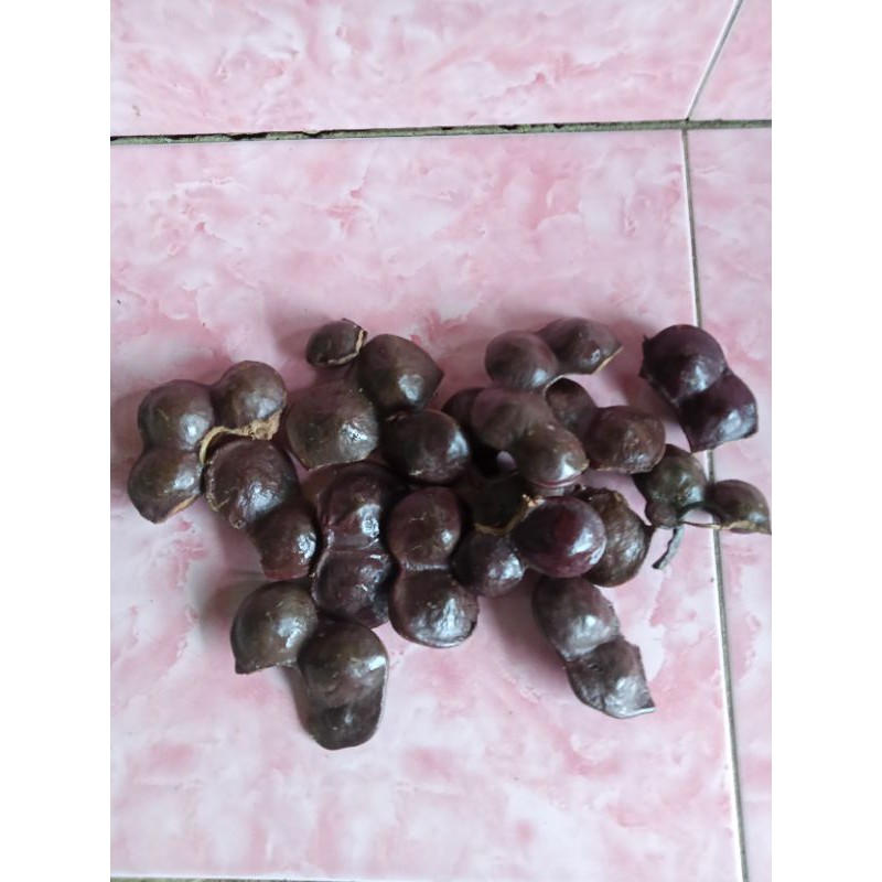 

Buah jengkol lalapan segar