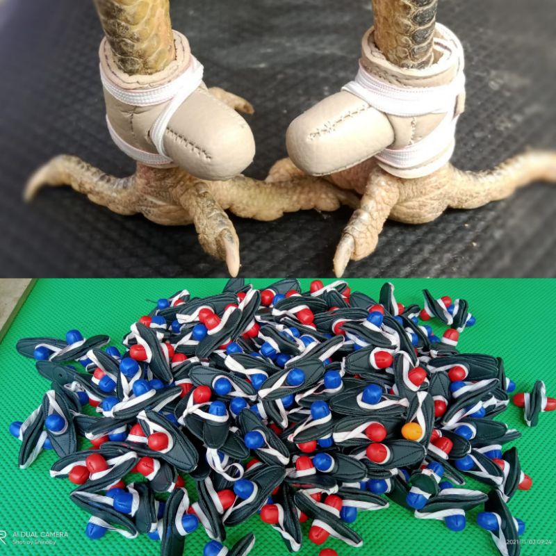 Bungkus Jalu Ayam Aduan Bahan Kulit Pelindung Jalu Ayam Pembungkus Taji Ayam