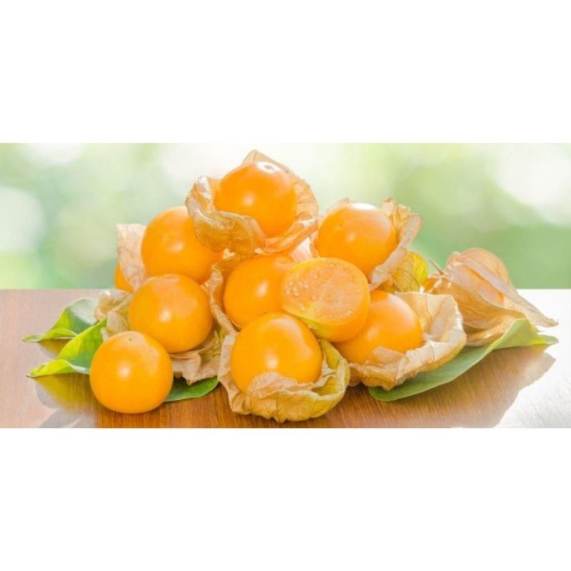 

ciplukan (golden berry) 1kg