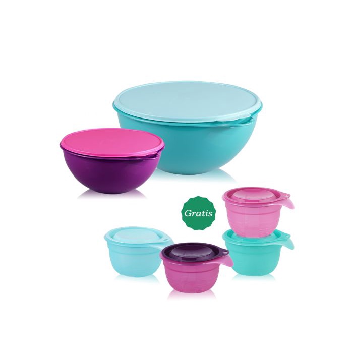 Tupperware PAKET THATS A BOWL WITH GIFT