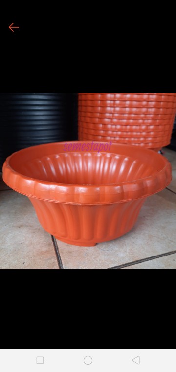 Pot Bunga Tanaman Bonsai Glory 25 Merah