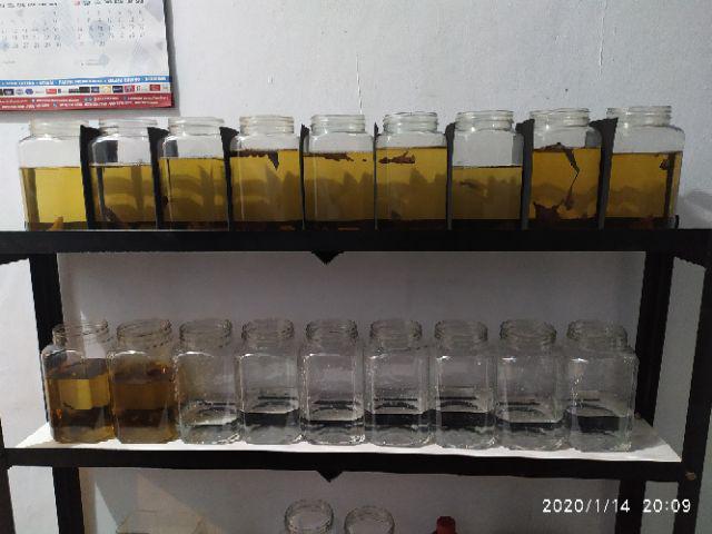 Rak Ikan Cupang Dan Guppy