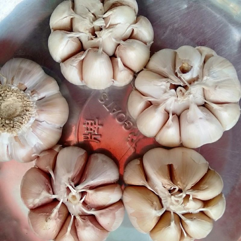 

bawang putih