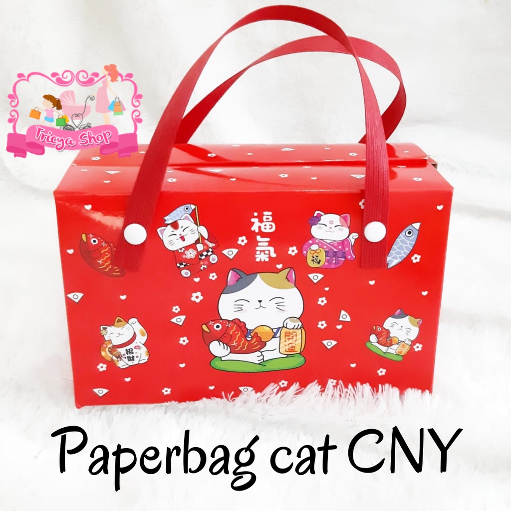 

Paperbag cat CNY